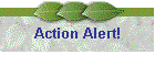 Action Alert!