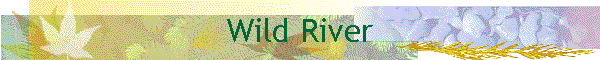 Wild River