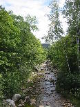 Wild River by Robert J Oppegaard