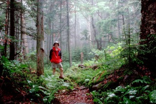 Walden Trail