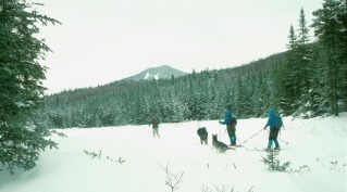 Lost Pass